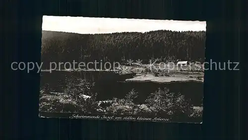 Bayrisch Eisenstein Schwimmende Insel am kleinen Abersee Kat. Bayerisch Eisenstein