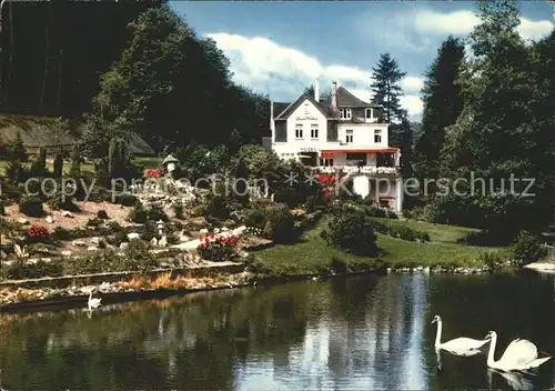 Rengsdorf Hotel Pension Waldcafe Obere Muehle Schwanenteich  Kat. Rengsdorf