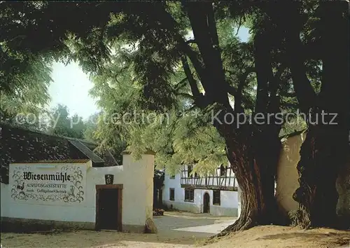 Floersheim Main Ausflugsgaststaette Wiesenmuehle Kat. Floersheim am Main