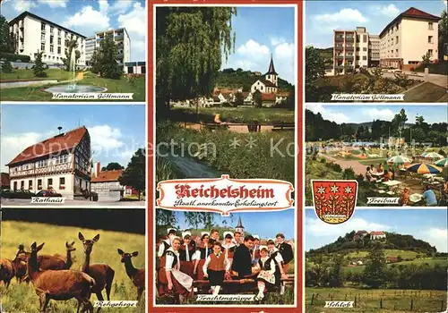 Reichelsheim Odenwald Schloss Rehe Freibad Rathaus Sanatorium Goettmann Kat. Reichelsheim (Odenwald)