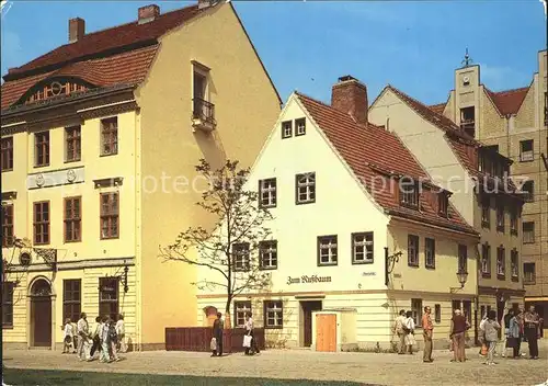 Berlin Gasthaus Zum Nussbaum Nikolaiviertel  Kat. Berlin