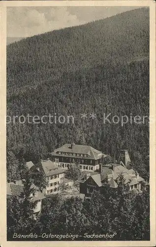 Baerenfels Erzgebirge Sachsenhof Kat. Altenberg