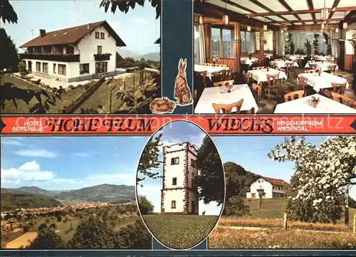 Wiechs Schopfheim Hotel Berghaus Hohe Flum Gastraum Panorama Turm Kat. Schopfheim