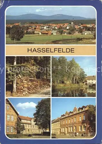 Hasselfelde Stadtblick Holzkoehlerei Teichstr Markt FDGB Heim Zur Krone Kat. Hasselfelde