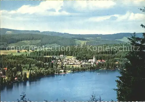 Titisee  Kat. Titisee Neustadt