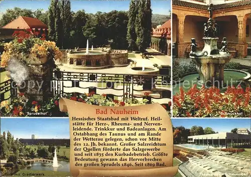 Bad Nauheim Sprudelhof Schmuckhof Park mit Gradierwerk Schwimmbad Kat. Bad Nauheim