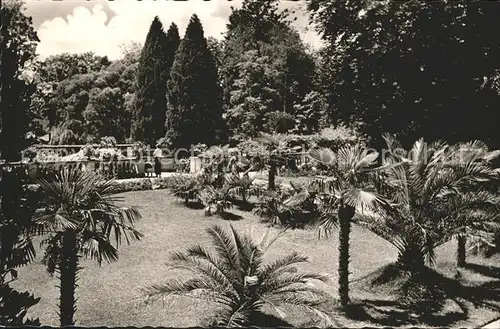 Mainau Palmenhain Kat. Konstanz