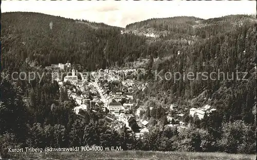 Triberg Schwarzwald Teilansicht Kat. Triberg im Schwarzwald