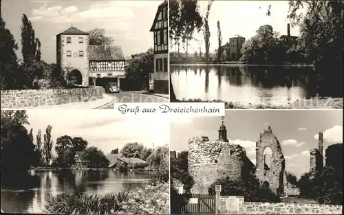 Dreieichenhain Burg Hayn Ruine Weiher Torbogen Turm Kat. Dreieich