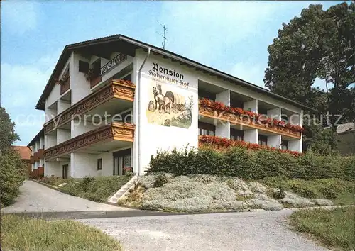 Hohenau Niederbayern Gasthaus Pension Hohenauer Hof Kat. Hohenau