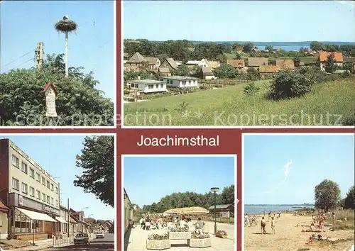 Joachimsthal Storchennest Teilansicht Thaelmann Str Feriendorf Grimnitzsee Eiscafe Badestelle Kat. Joachimsthal