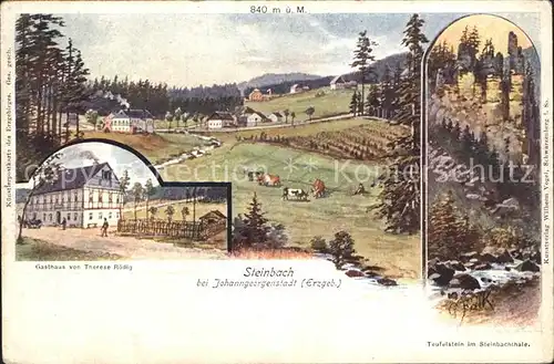 Steinbach Johanngeorgenstadt Panorama Gasthaus Teufelstein im Steinbachtal Kat. Johanngeorgenstadt