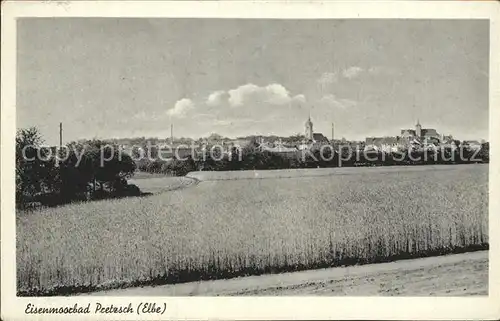 Pretzsch Elbe Stadtansicht / Bad Schmiedeberg /Wittenberg LKR