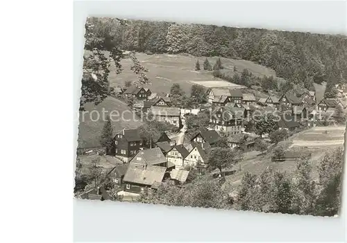 Tanne Harz Teilansicht Kat. Tanne Harz