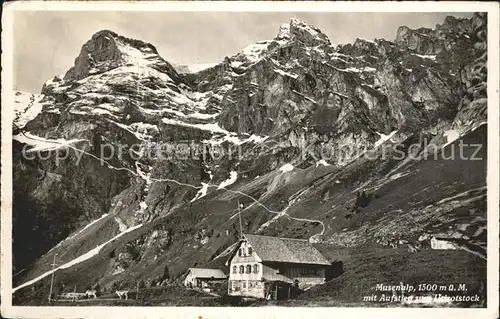 Musenalp mit Aufstieg zum Urirotstock Kat. Musenalp