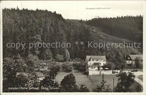 Zwiesel Bad Gottleuba Berggiesshuebel Fremdenhof Waldfrieden Baude Kat. Bad Gottleuba Berggiesshuebel