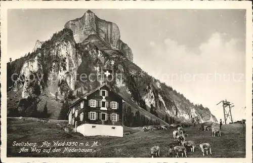 Seelisberg UR Alp Weid mit Niederbauen Kat. Seelisberg