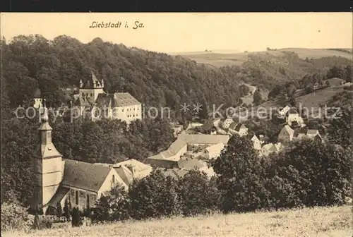 Liebstadt Kirche mit Schloss Kuckuckstein Kat. Liebstadt