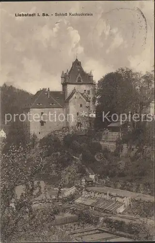 Liebstadt Schloss Kuckuckstein Kat. Liebstadt