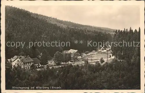 Hirschsprung Teilansicht Kat. Altenberg