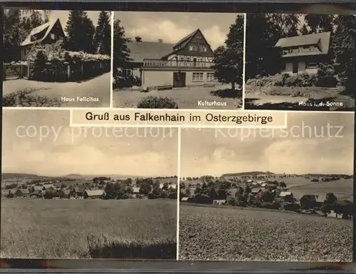 Falkenhain Altenberg Erzgebirge Haus Felicitas Kulturhaus Haus Sonne Panorama Kat. Altenberg