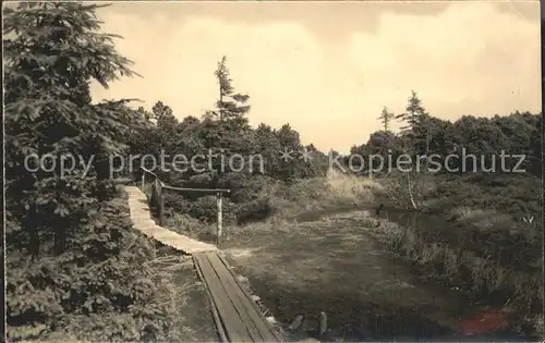 Zinnwald Georgenfeld Hochmoor Kat. Altenberg