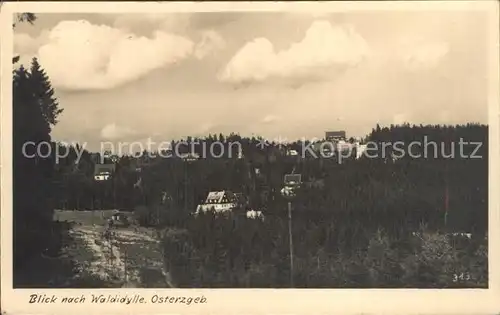 Baerenburg Sachsen Waldidylle Kat. Altenberg