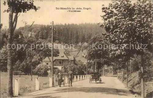 Baerenfels Erzgebirge Waldwiese Kat. Altenberg