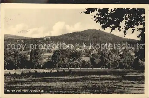 Baerenfels Erzgebirge Dorfansicht Kat. Altenberg