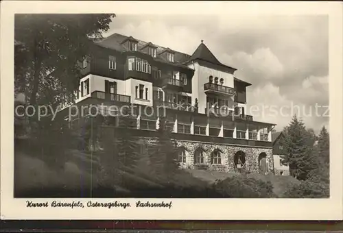 Baerenfels Erzgebirge Sachsenhof Kat. Altenberg