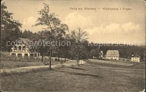 Hirschsprung Teilansicht Kat. Altenberg