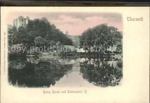 Tharandt Ruine Kirche Schlossteich Kat. Tharandt