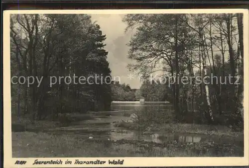 Tharandt Seerenteich Tharandter Wald Handabzug Kat. Tharandt