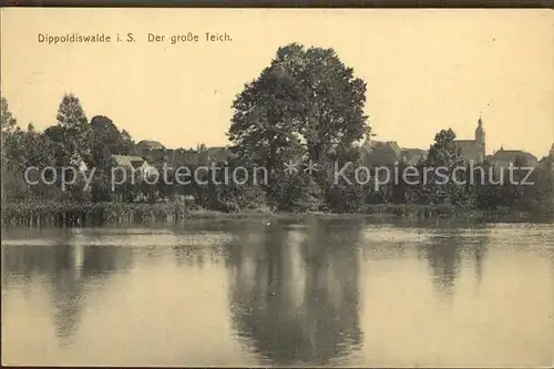 Dippoldiswalde Osterzgebirge Der grosse Teich Kat. Dippoldiswalde