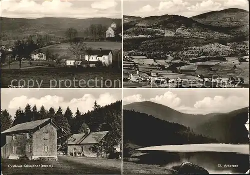 Drachselsried Oberried Kl. Arbersee Forsthaus Schareben Kat. Drachselsried