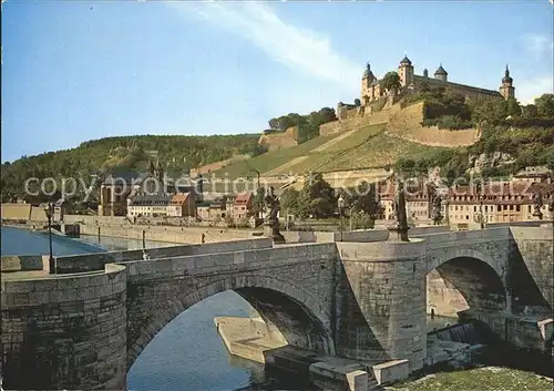 Wuerzburg Festung Marienburg Mainbruecke Kat. Wuerzburg