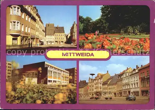 Mittweida Markt Schwanenteich Poliklinik Kat. Mittweida