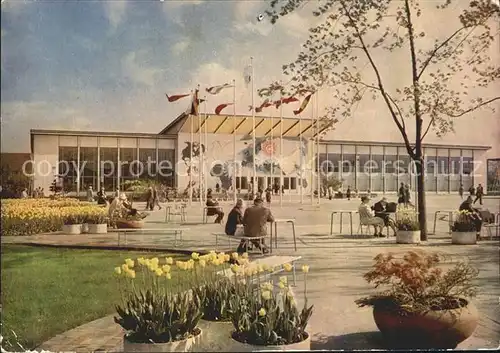 Erfurt Internationale Gartenausstellung Festplatz  Kat. Erfurt