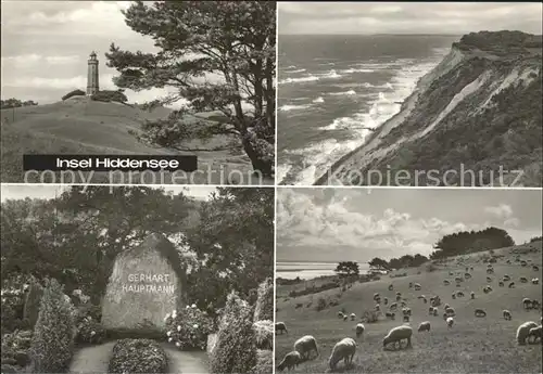 Insel Hiddensee Leuchtturm Steilkueste Gerhart Hauptmann Grabstein Schafherde Kat. Insel Hiddensee