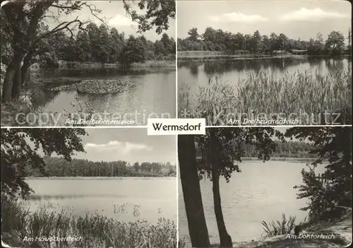 Wermsdorf Dreibrueckenteich Haeuschenteich Doktorteich Kat. Wermsdorf