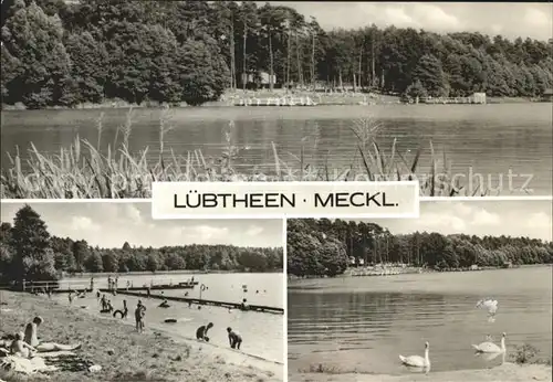 Luebtheen Uferpartie am See Badestrand Schwaene Kat. Luebtheen