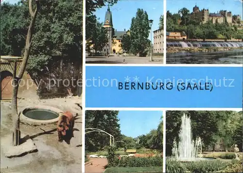 Bernburg Saale Baerenzwinger Schloss Kurhaus Rosengarten Marx Engels Platz Kat. Bernburg