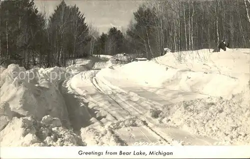 Bear Lake Michigan Verschneiter Wald Kat. Bear Lake