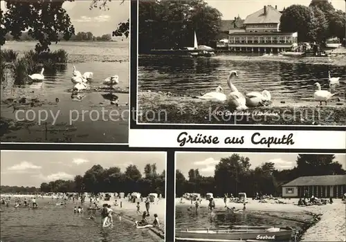 Caputh Schwaene HO Gaststaette Strand Seebad Kat. Schwielowsee