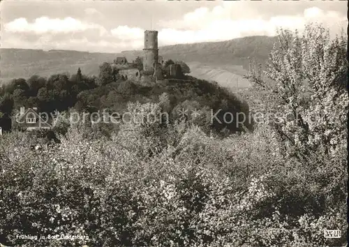 Bad Godesberg im Fruehling Burgruine Kat. Bonn