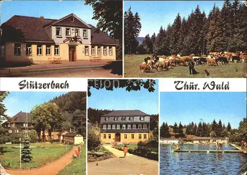 Stuetzerbach Gasthaus Auerhahn Kuhherde Kurpark Goethehaus Schwimmbad Kat. Stuetzerbach