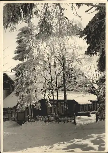 Waldidylle HO Gaststaette Erzgebirgsbaude  Kat. Altenberg