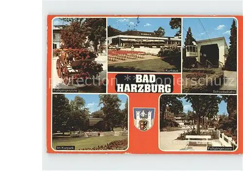 Bad Harzburg Kurpark Schwebebahn  Kat. Bad Harzburg