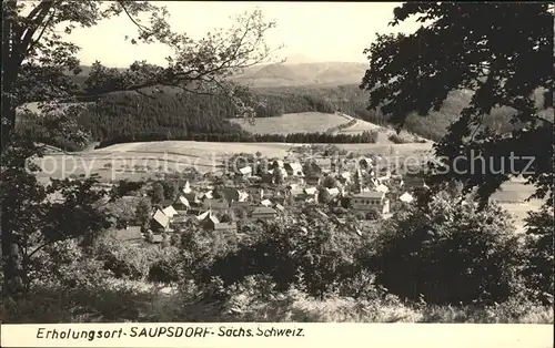 Saupsdorf Totalansicht Kat. Kirnitzschtal