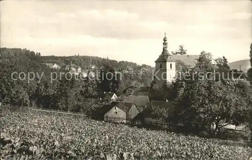 Bad Gottleuba Berggiesshuebel Teilansicht Kirche Kat. Bad Gottleuba Berggiesshuebel